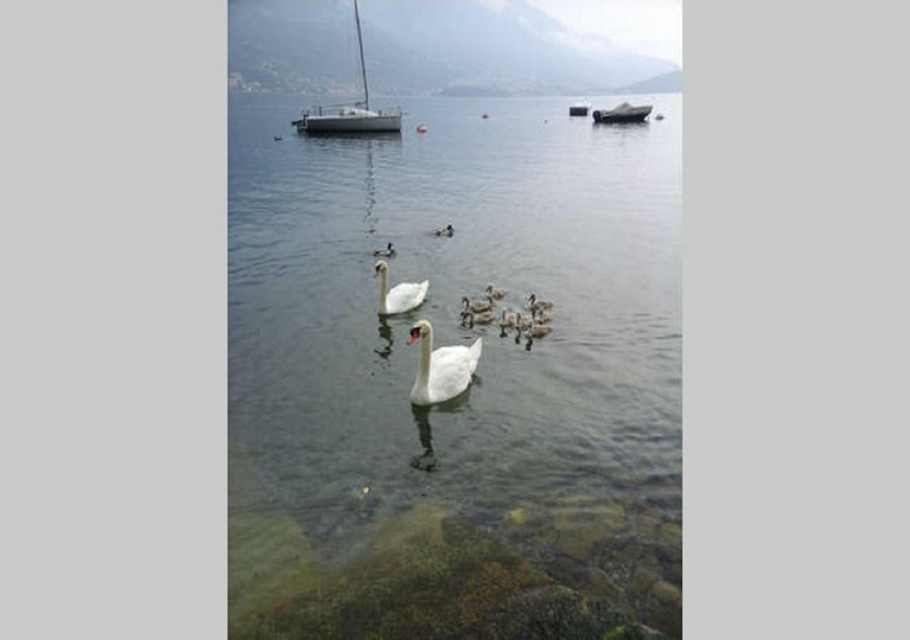 Appartamento Vista Lago - Mary Lezzeno Kültér fotó